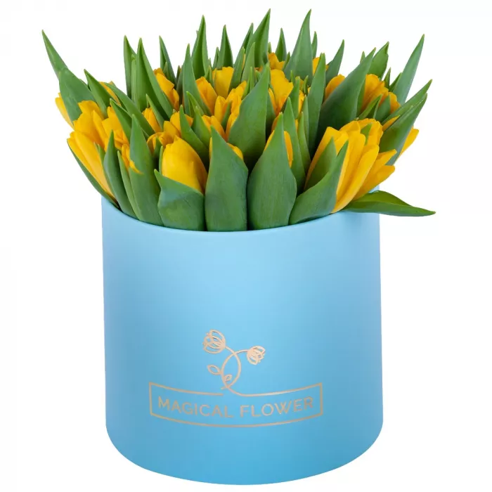 51 желтый тюльпан в голубой шляпной коробке 51 желтый тюльпан в голубой шляпной коробке