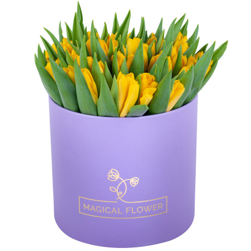 51 желтый тюльпан в фиолетовой шляпной коробке