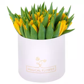 51 желтый тюльпан в кремовой шляпной коробке