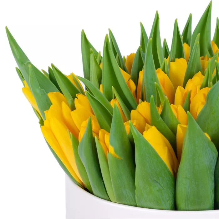 51 желтый тюльпан в кремовой шляпной коробке