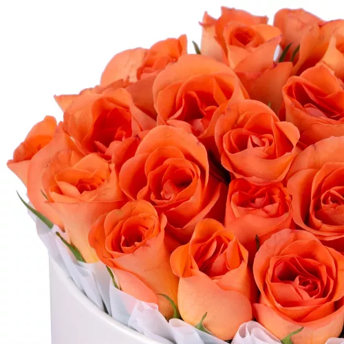 25 оранжевых роз в кремовой шляпной коробке