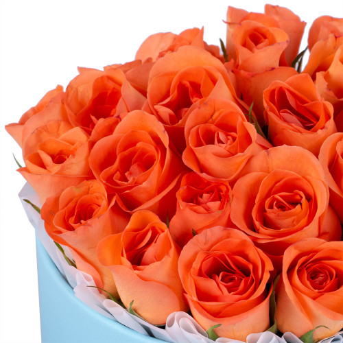 25 оранжевых роз в голубой шляпной коробке