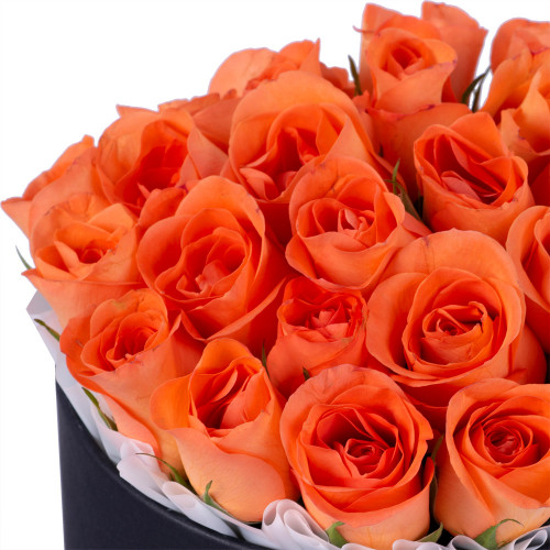 Букет на выпускной 25 оранжевых роз в черной шляпной коробке