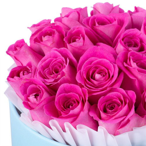 25 розовых роз в голубой шляпной коробке