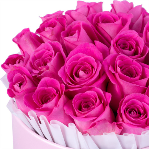 25 розовых роз в розовой шляпной коробке