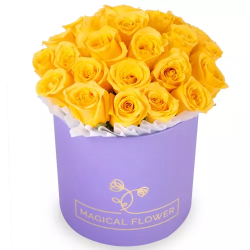 25 желтых роз в фиолетовой шляпной коробке
