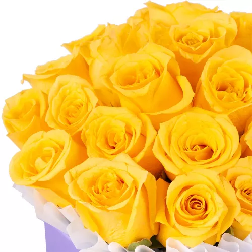 25 желтых роз в фиолетовой шляпной коробке