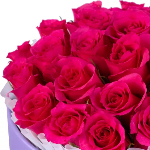 25 малиновых роз в фиолетовой шляпной коробке