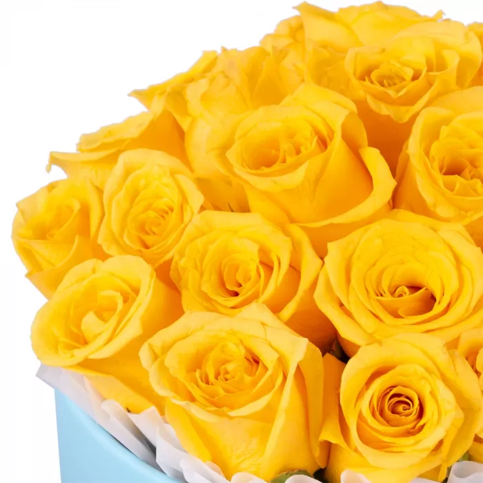 25 желтых роз в голубой шляпной коробке