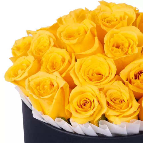 25 желтых роз в черной шляпной коробке