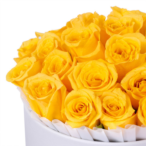Цветы на выпускной из 25 желтых роз в белой шляпной коробке