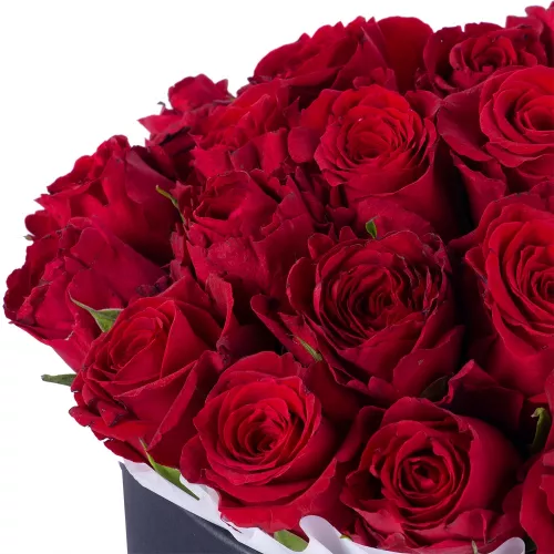 25 красных роз в черной шляпной коробке