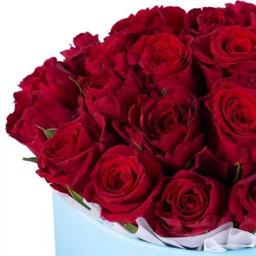 25 красных роз в голубой шляпной коробке