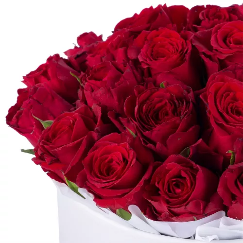 25 красных роз в белой шляпной коробке