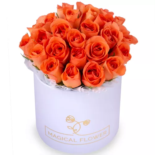 25 оранжевых роз в белой шляпной коробке