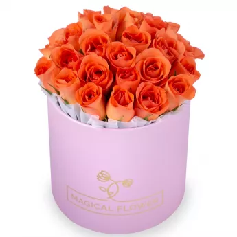 25 оранжевых роз в розовой шляпной коробке