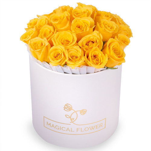 25 желтых роз в кремовой шляпной коробке