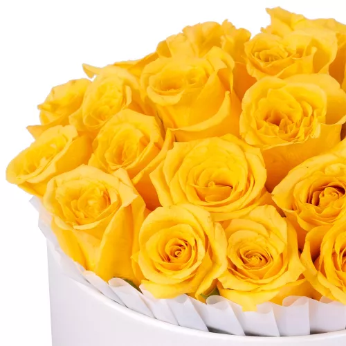 25 желтых роз в кремовой шляпной коробке