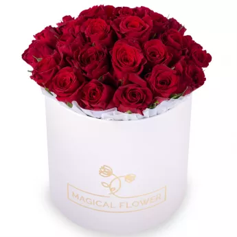 25 красных роз в кремовой шляпной коробке
