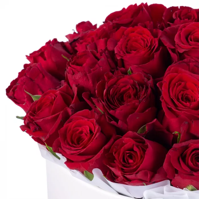 25 красных роз в кремовой шляпной коробке