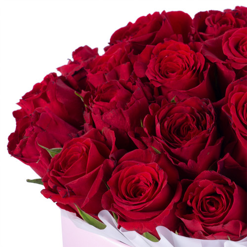 25 красных роз в розовой шляпной коробке