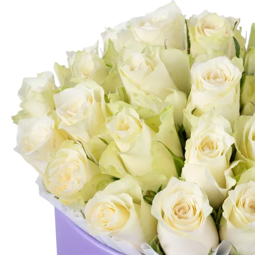 25 белых роз в фиолетовой шляпной коробке