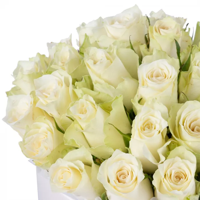 25 белых роз в кремовой шляпной коробке