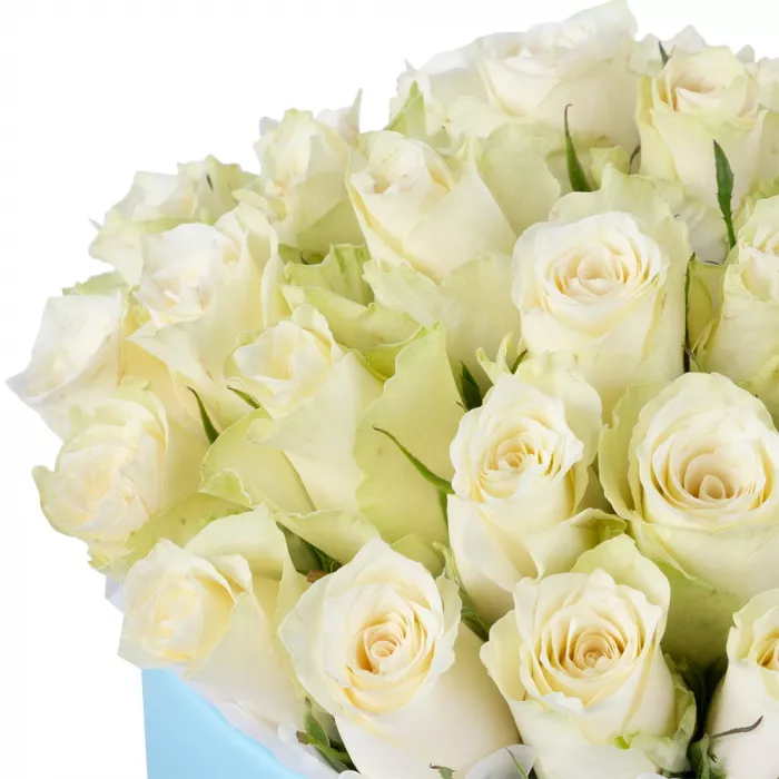 25 белых роз в голубой шляпной коробке