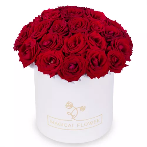 25 роз premium в кремовой шляпной коробке