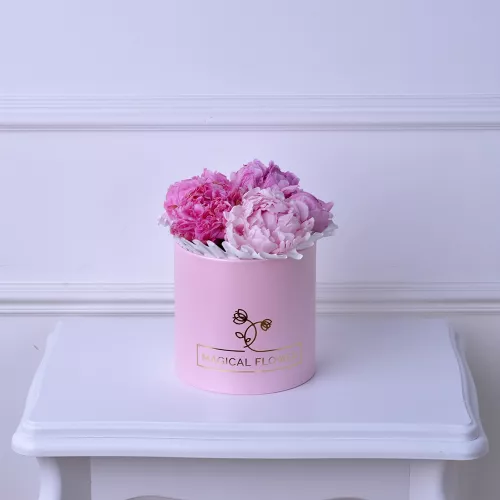 Букет из 7 розовых пионов Сара Бернар в шляпной коробке