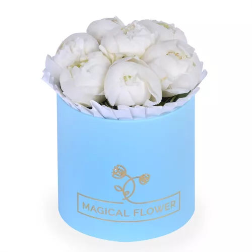 Букет из 7 белых пионов в голубой шляпной коробке