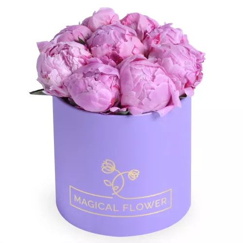 Букет из 9 розовых пионов Сара Бернар в фиолетовой шляпной коробке