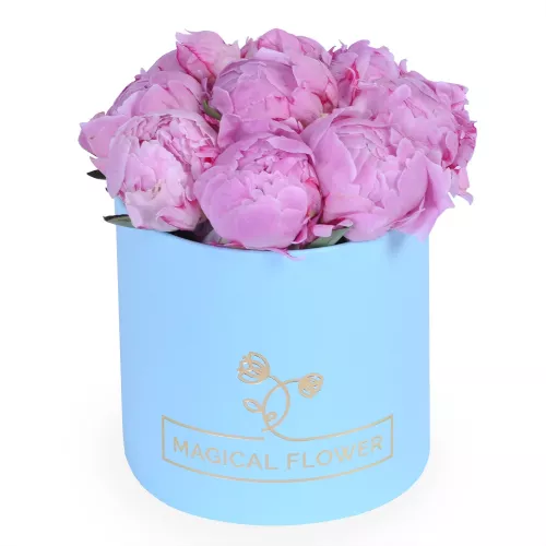 Букет из 9 розовых пионов в шляпной коробке