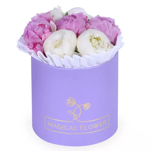 Букет из 7 разноцветных пионов в фиолетовой шляпной коробке