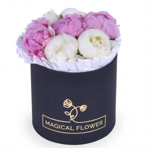 Букет из 7 разноцветных пионов в черной шляпной коробке