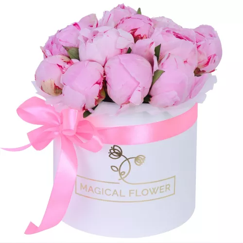 Букет из 15 розовых пионов в белой шляпной коробке