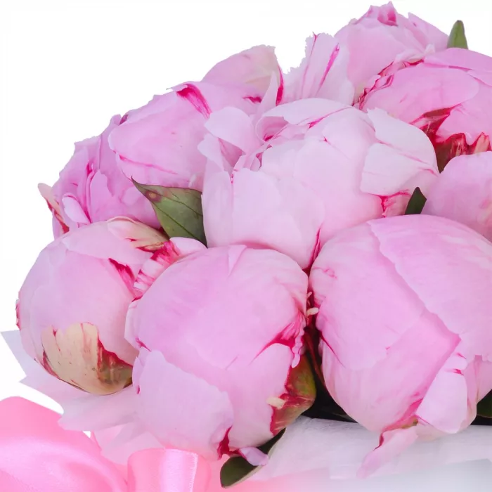 Букет из 15 розовых пионов в белой шляпной коробке