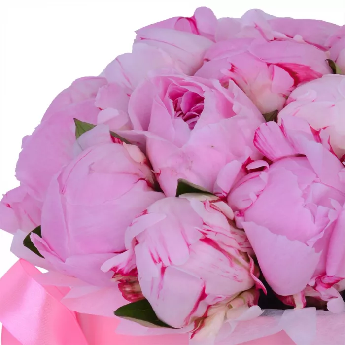 Букет из 19 розовых пионов в розовой шляпной коробке