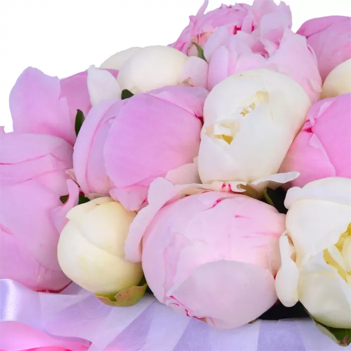 Букет из 19 разноцветных пионов в фиолетовой шляпной коробке