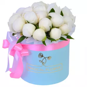 Букет из 19 белых пионов в голубой шляпной коробке