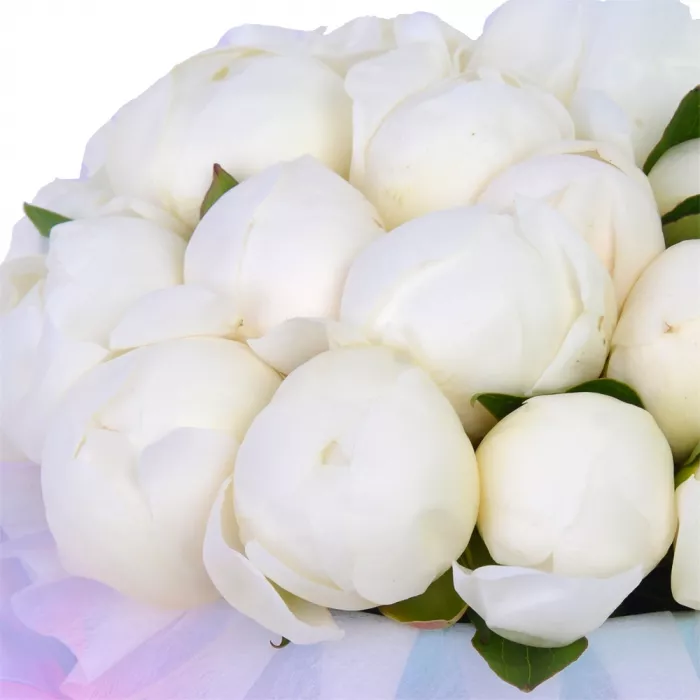 Букет из 21 белого пиона в голубой шляпной коробке