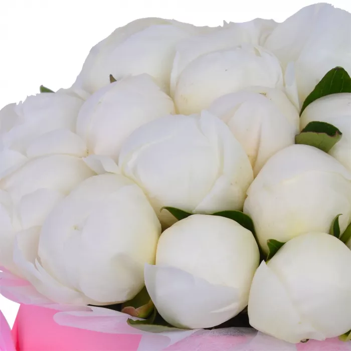 Букет из 21 белого пиона в розовой шляпной коробке