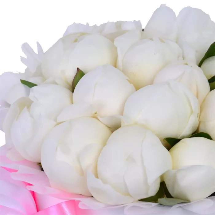 Букет из 21 белого пиона в белой шляпной коробке