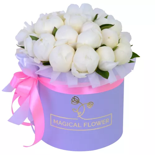 Букет из 21 белого пиона в фиолетовой шляпной коробке