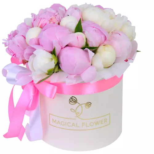 Букет из 21 разноцветного пиона в кремовой шляпной коробке