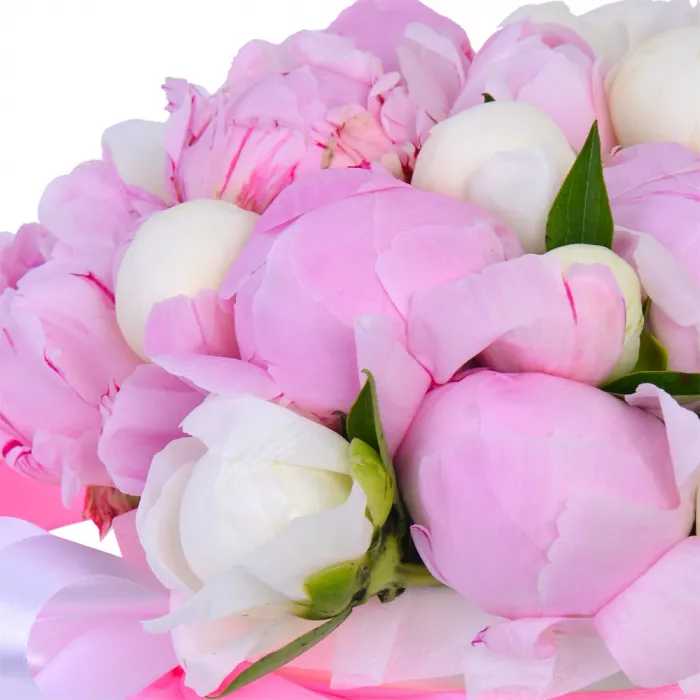 Букет из 21 разноцветного пиона в кремовой шляпной коробке