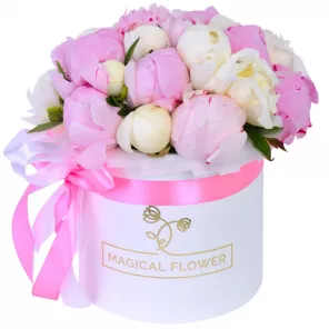 Букет из 21 разноцветного пиона в белой шляпной коробке