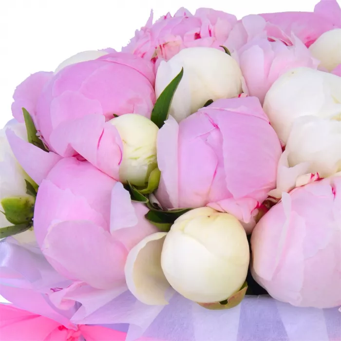 Букет из 21 разноцветного пиона в фиолетовой шляпной коробке