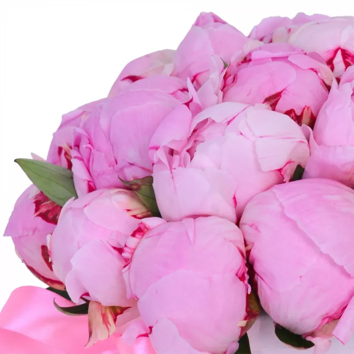 Букет из 21 розового пиона в белой шляпной коробке