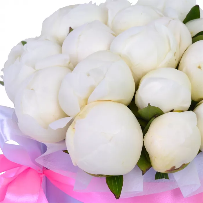 Букет из 25 белых пионов в фиолетовой шляпной коробке